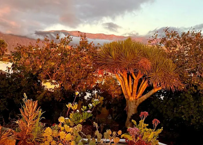 Apartment Tenerife Sea View Sun 220 Playa Feñabe